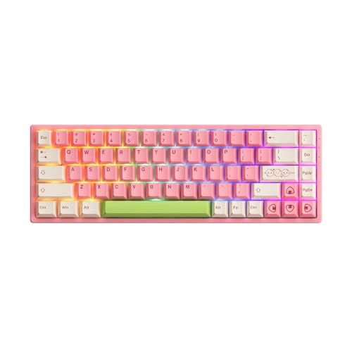 Akko 3068B Plus Mochi & Dango Hot-swappable Mechanical Gaming Keyboard with Cherry PBT Keycaps, Wireless/Wired 65 Percent 68-Key RGB Keyboard, Compatible with Mac & Win V3 Cream Blue Pro